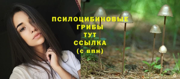 прущие грибы Богородск
