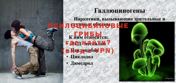 прущие грибы Богородск