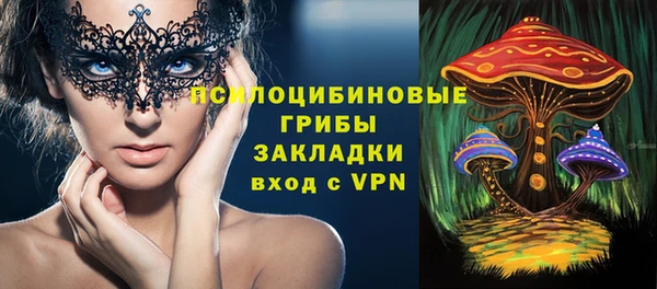 spice Богданович