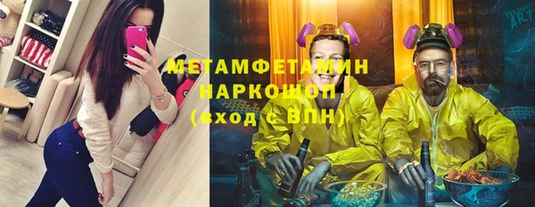 прущие грибы Богородск