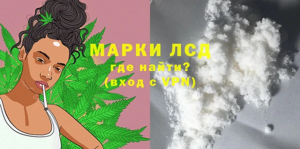 spice Богданович