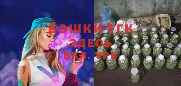 spice Богданович