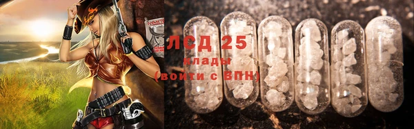spice Богданович