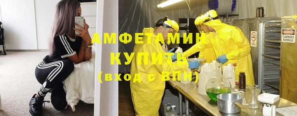 прущие грибы Богородск