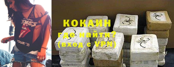 прущие грибы Богородск