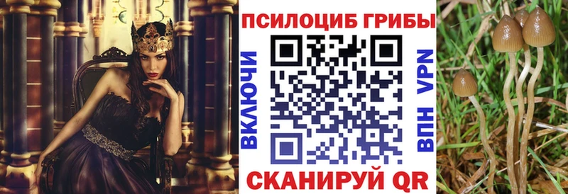 МЕГА ССЫЛКА  Старый Оскол  Псилоцибиновые грибы MAGIC MUSHROOMS 
